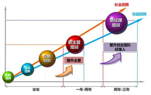 震旦管培生收入（震旦管培生工作内容）-图1