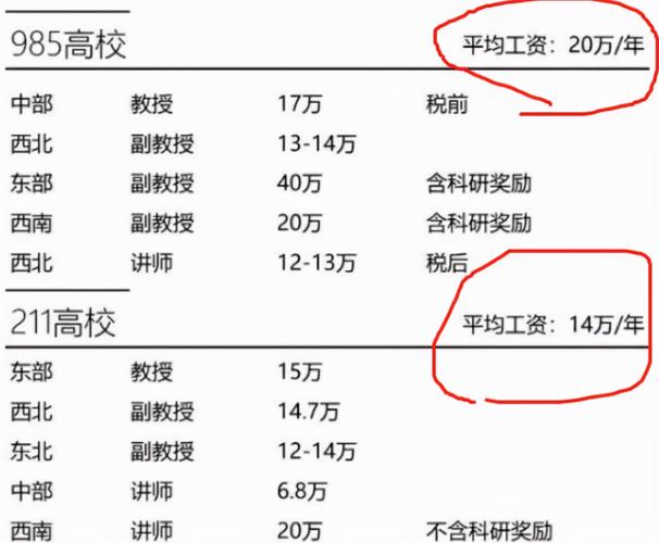 大学教授年收入（大学教授年收入有100万吗）-图1