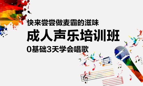 桔子树钢琴老师收入（桔子树声乐课多少钱）-图3