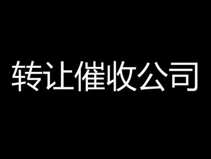 深圳催收收入（2020年深圳催收公司）-图1