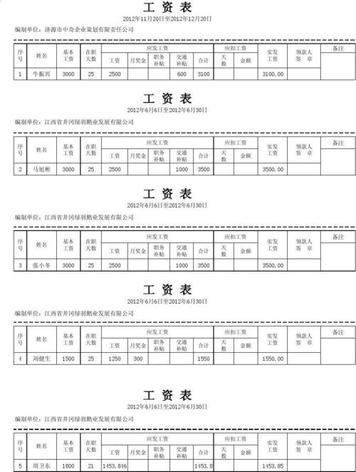 工资条其他收入（工资条其他收入怎么填）-图1