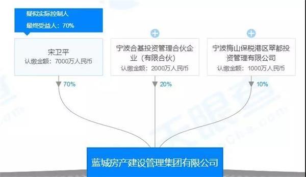 蓝城收入（蓝城集团2020年销售额）-图3