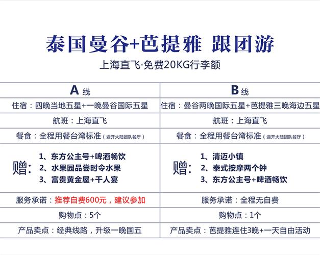 到泰国的领队收入（领队带团去泰国的工作流程）-图3