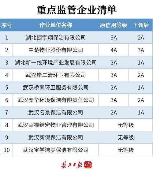 2017年武汉保洁收入（2017年武汉保洁收入如何）-图1