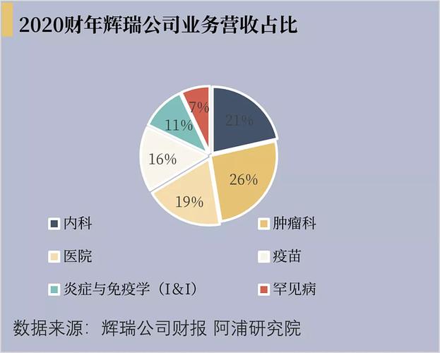 辉瑞公司的收入（辉瑞公司盈利）-图1