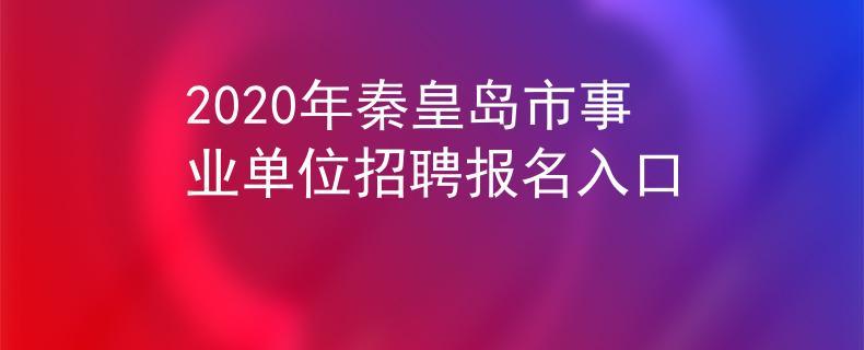 秦皇岛事业编制收入（秦皇岛事业编招聘2020多少人）-图2