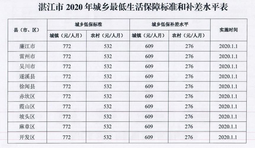 湛江低收入（湛江市低保户家庭收入最低是多少）-图1