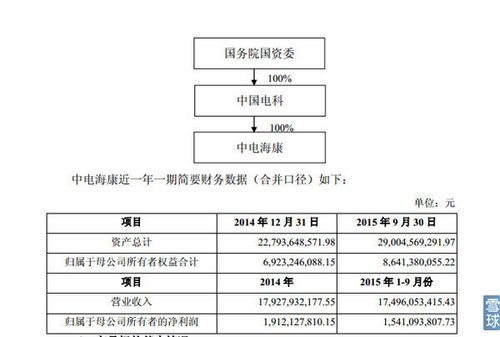 中电海康收入（中电海康收入多少）-图2