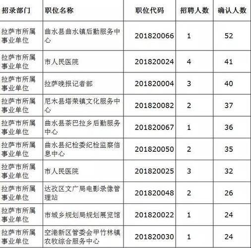 昌都公务员收入（昌都公务员工资）-图2