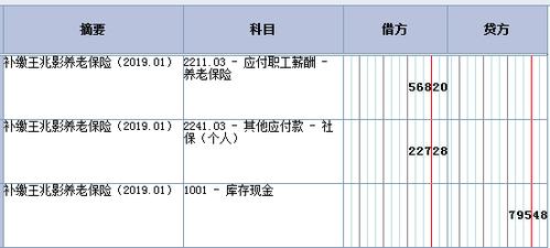 养老机构的收入分录（养老机构的收入分录怎么写）-图2