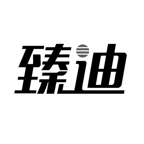 臻迪收入（臻迪公司怎么样）-图2