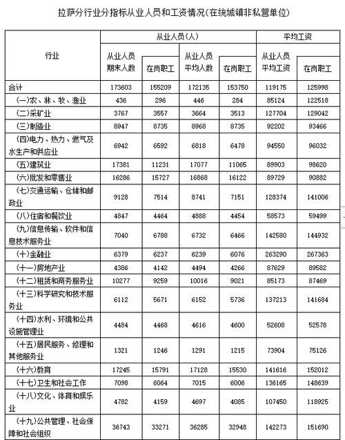 拉萨收入如何（拉萨的工资高不高）-图3