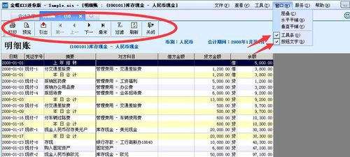 金蝶的收入类别（金蝶收入支出明细表怎么做）-图3