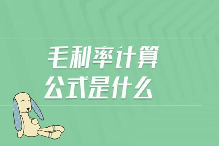 有效毛收入公式（什么是有效毛收入）-图1