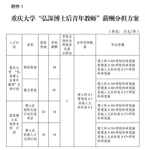 重庆大学老师收入（重庆大学老师招聘条件）-图3