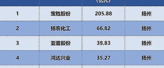 扬州公司收入（扬州公司收入排行）-图1