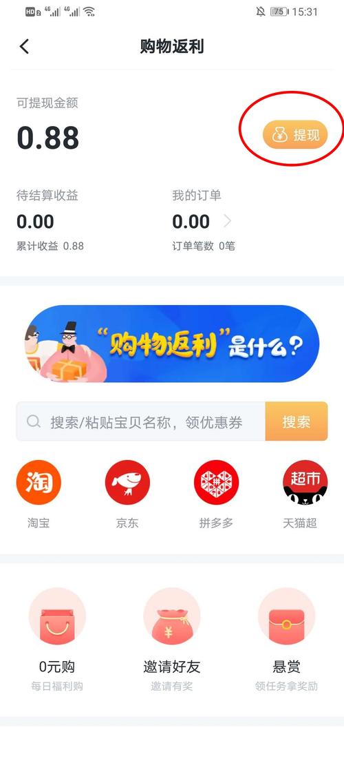 返利网站收入（返利网站收入怎么做账）-图2