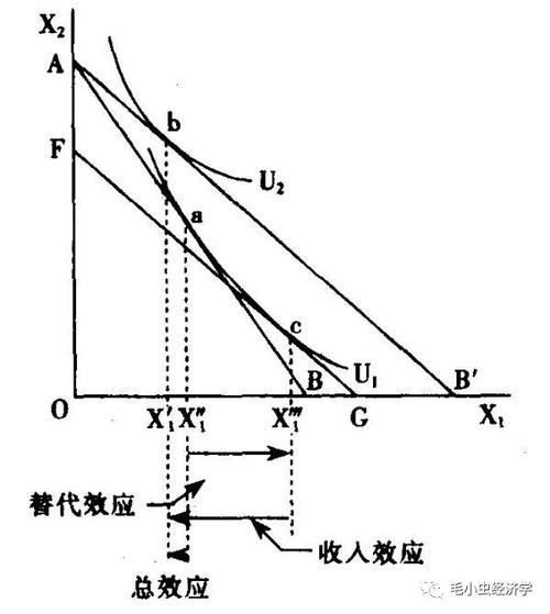 低档商品的收入弹性（低档商品的收入弹性为负）-图1