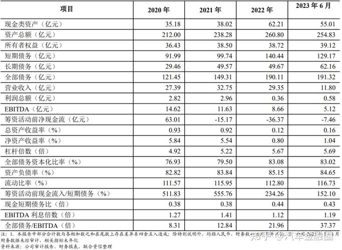 狮桥融资收入（狮桥融资收入多少钱）-图2