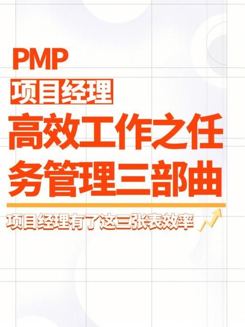 挂职项目经理收入（挂职项目经理怎么保护自己）-图3