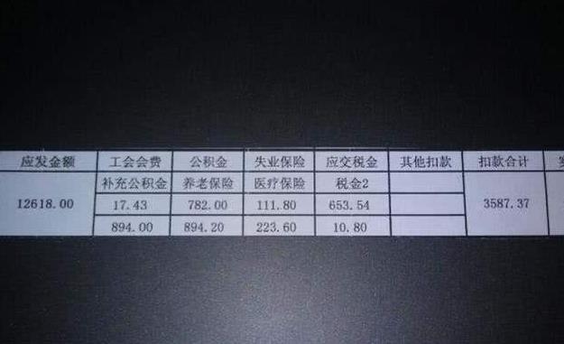 mcu程序员收入（羡慕程序员工资）-图3