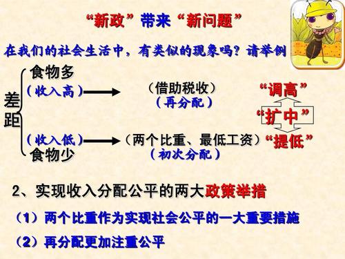 资源分配和收入分配（收入分配再分配第三次分配）-图3