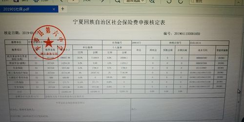 社保收入清查款项（社保收入清查款项怎么填）-图3