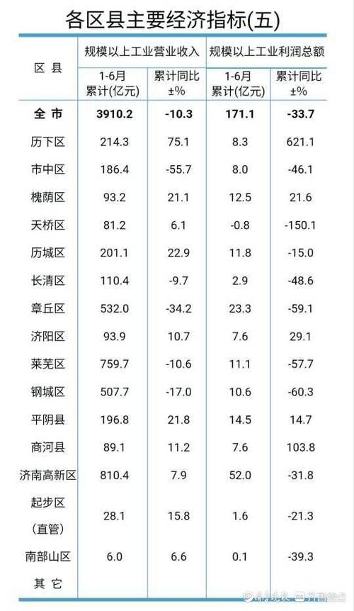 济南各地收入（济南市收入水平）-图3