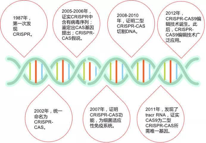 东乐自然基因收入（东乐生命自然基因）-图3