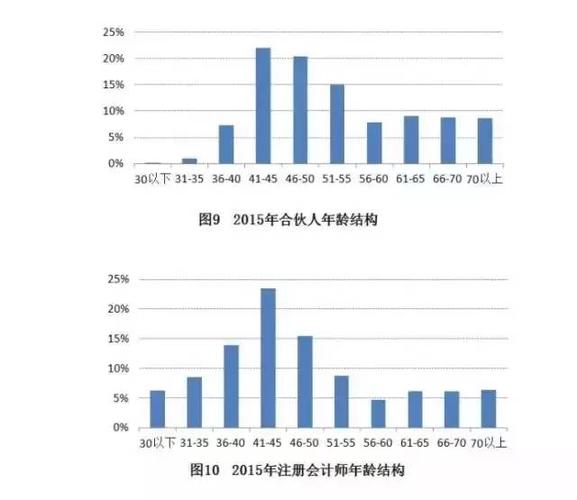 注册会计师收入（注册会计师收入年均增长率超过）-图2