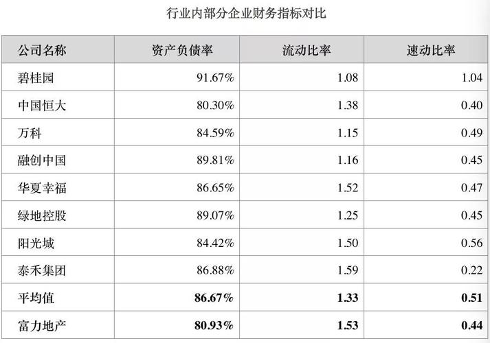 富力运营收入（富力运营收入怎么样）-图2