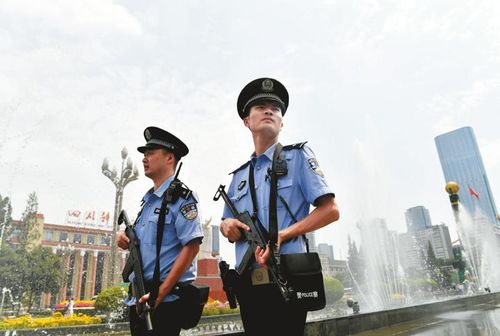 成都巡警收入（成都市区警察工资30万）-图2