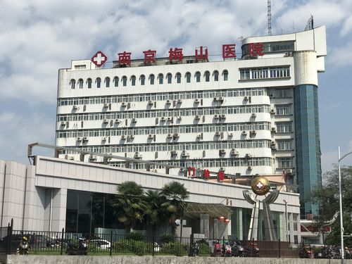 南京梅山医院收入如何（南京梅山医院是什么等级）-图1