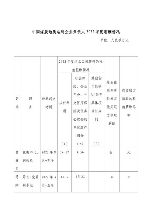 煤炭地质总局收入（煤炭地质总局收入高吗）-图1