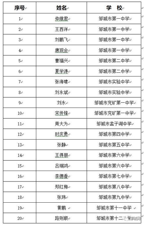 邹城教师收入（邹城市小学教师工资）-图2