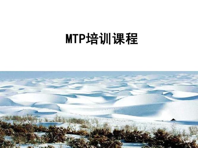 mtp培训讲师收入（mtp培训课件）-图3