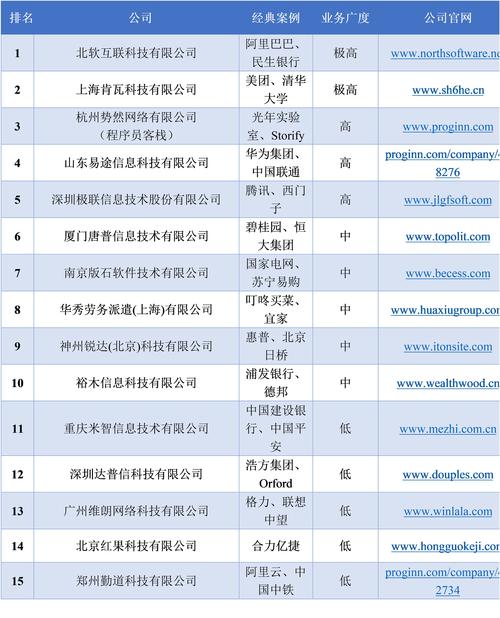 软件外包公司收入（软件外包公司出路）-图3