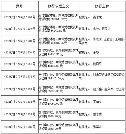 执行主收入（被执行人收入的执行）-图1