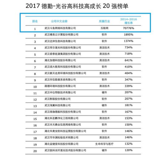 德勤2016收入（德勤2019营收）-图1