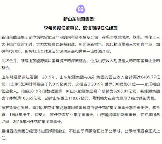 山东能源的收入（山东能源集团2020年利润）-图1