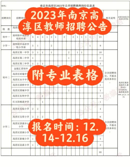 南京小学音乐教师收入（江苏南京小学音乐教师招聘）-图2