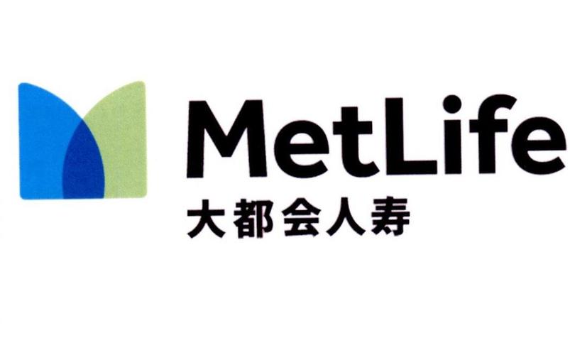 metlife收入（metlife sm什么待遇）-图3