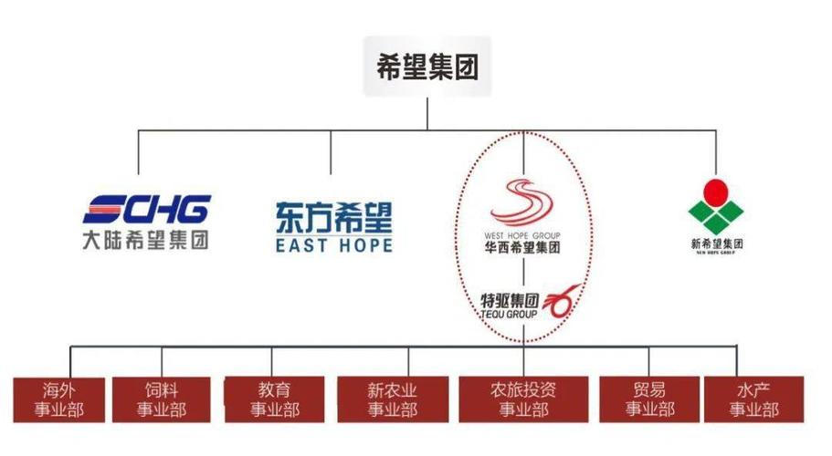 华西希望年收入（华西希望集团500强排名）-图3