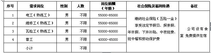 矿长年收入（矿长年薪多少）-图3