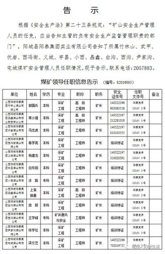 矿长年收入（矿长年薪多少）-图2