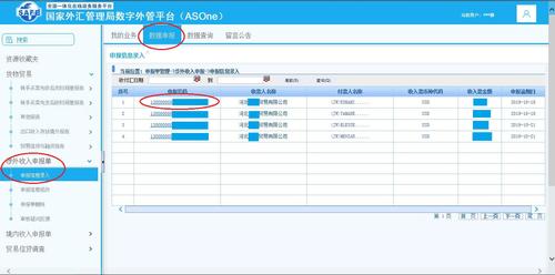 国家外汇收入（国家外汇收入申报操作）-图2