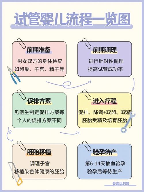 胚胎师的收入（胚胎师 工作流程）-图1