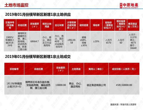 大横琴2019营业收入（大横琴2019营业收入多少）-图3