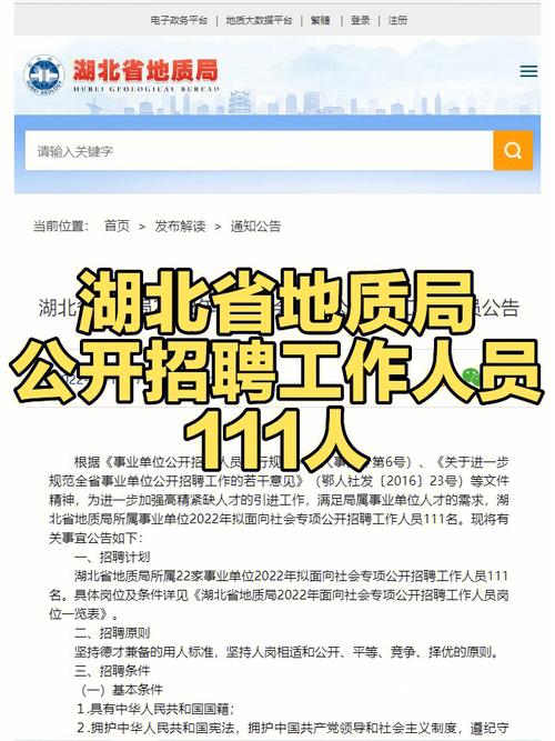 武汉地质调查中心收入（武汉地质调查中心招聘11人）-图1