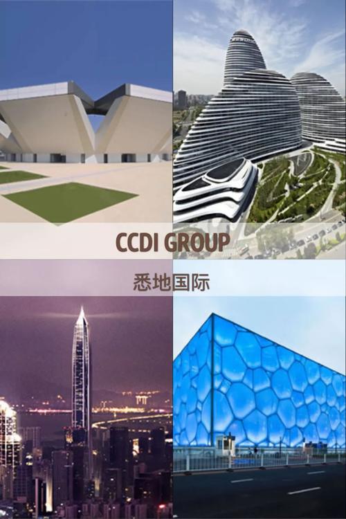 ccdi收入（ccdi group）-图1